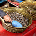 Snails in a Basket