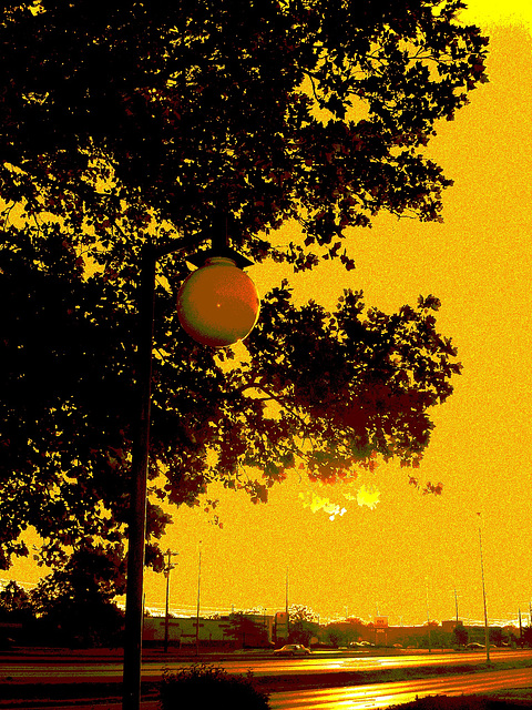 Lever de soleil / Sunrise -  Columbus, Ohio. 25 juin 2010- Sepia postérisé