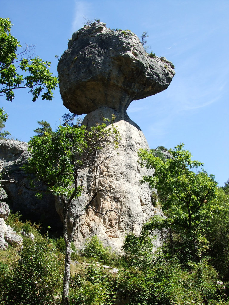 Larzac 160