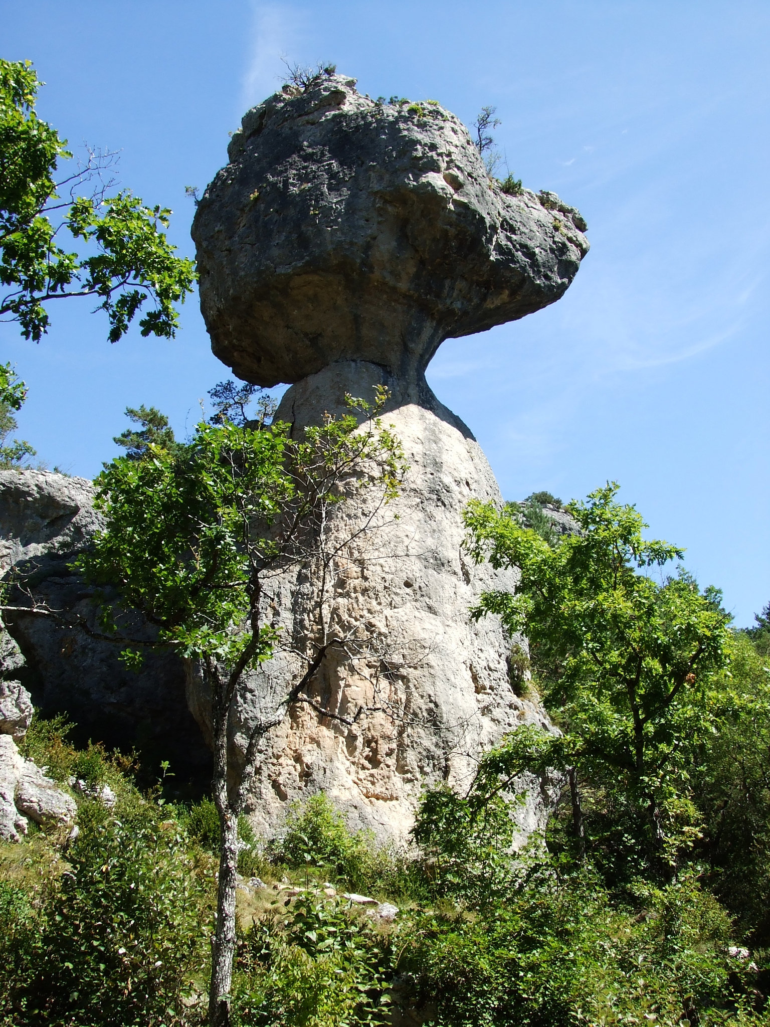 Larzac 160