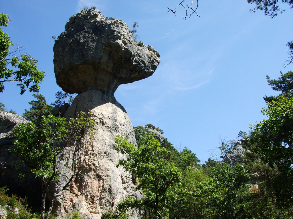 Larzac 161