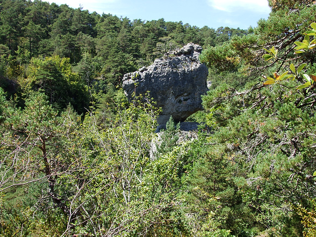 Larzac 162