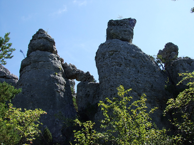 Larzac 163