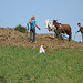 Rif Farmers Ploughing the Land