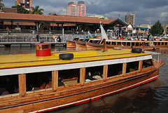 "Domingo en el Rio Tigre"