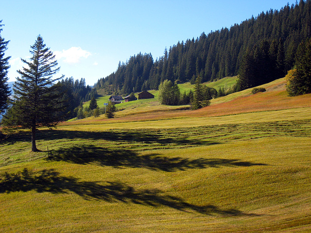 IMG 3861 Lange Schatten