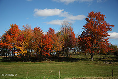 Couleurs en fête!