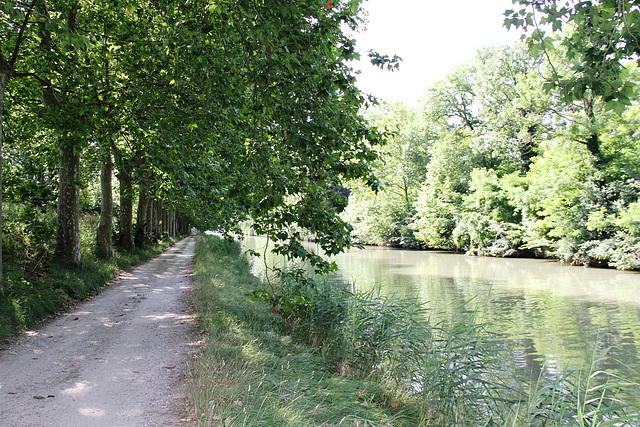 Canal du Midi près de l'écluse de Sauzens