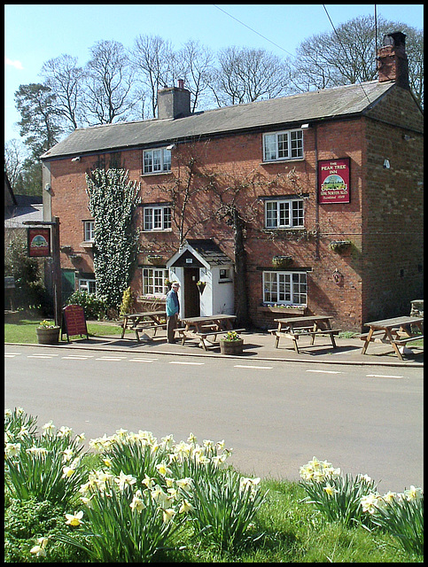 springtime at the Pear Tree Inn