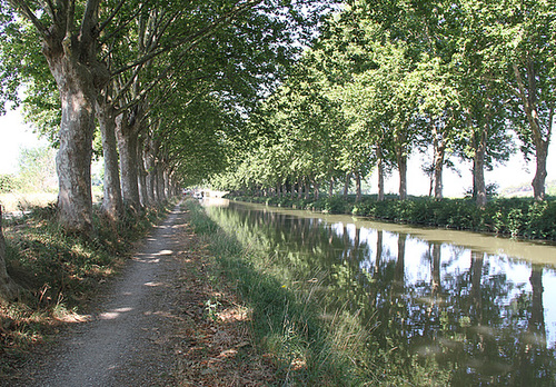 Canal du Midi - Ecluse de Jouarre