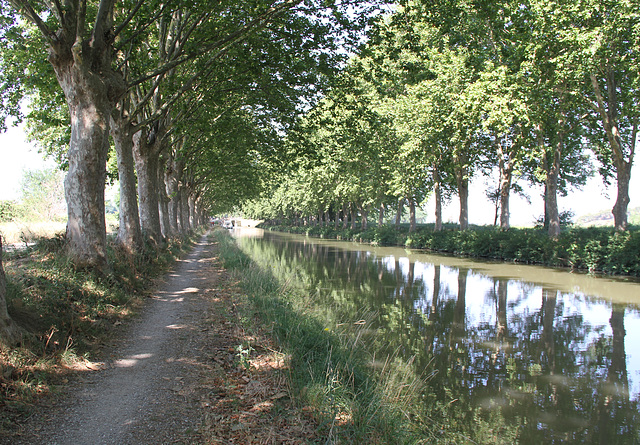 Canal du Midi - Ecluse de Jouarre