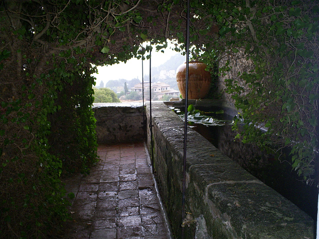 A La Cartuja de Valdemosa. Mallorca