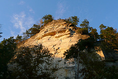 Sandstein bei Rathen