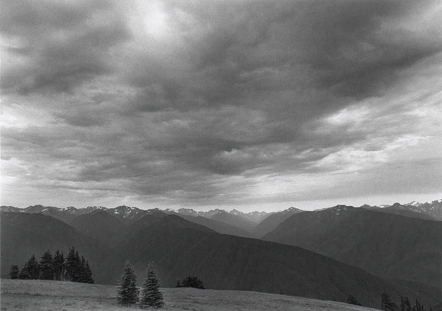 Hurricane Ridge