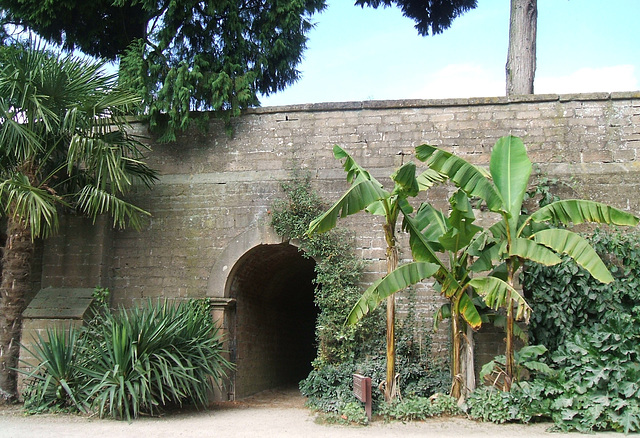 Garden, Newstead Abbey