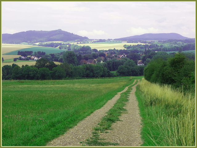 Auf dem Wilhelm Raabe Wanderweg bei Negenborn