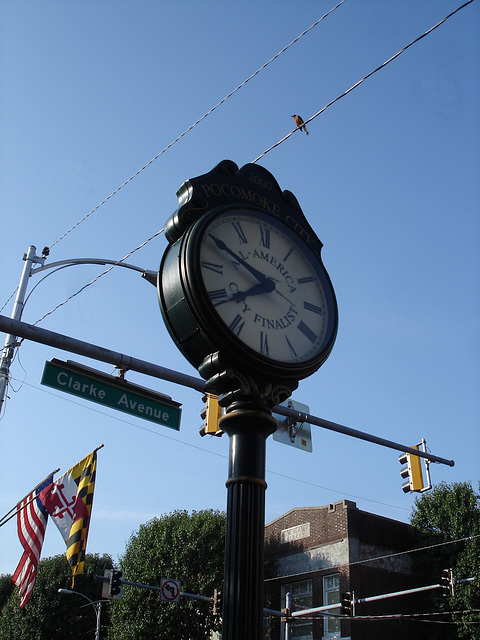 All America City finalist time / L'heure finalisée