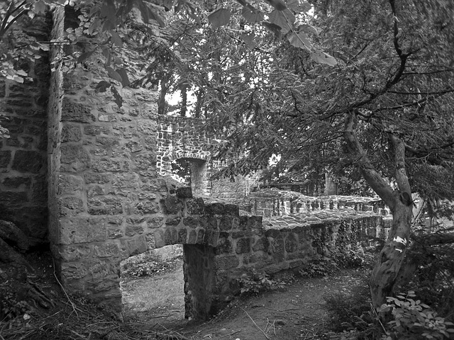 IMG 3590 Hexenpfad b/w