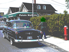 Patate Mallette et Meteor / Beauharnois, Québec. CANADA. 1er mai 2010 -  Version postérisée