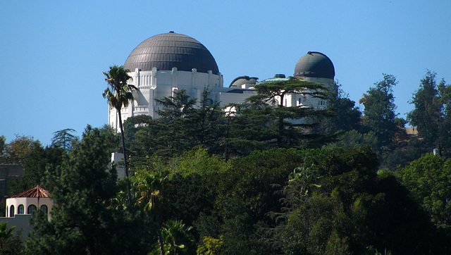 Griffith Observatory seen from Dundee Drive (2138)