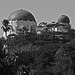 Griffith Observatory seen from Dundee Drive (2138A)