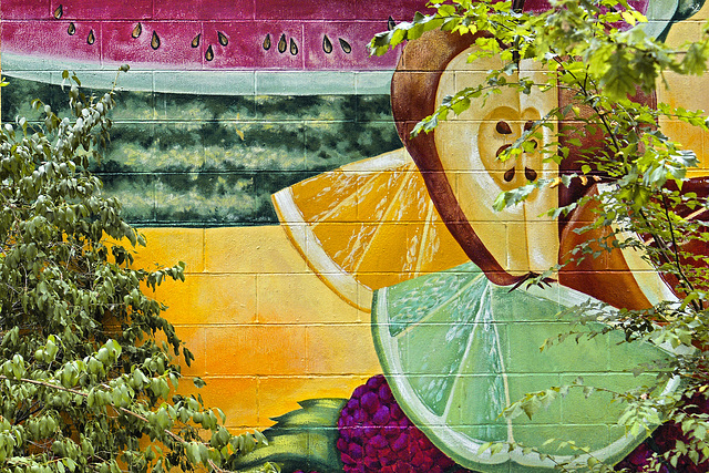 Drive Organics Mural – Commercial Drive, Vancouver, B.C.