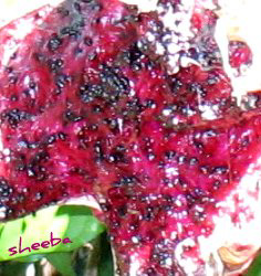 Tiny black seeds in Dragon Fruit..