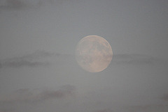 20100921 8295Tw [D~NVP] Mond, Zingst, Bodden