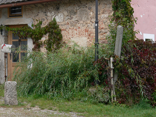 An der Burg Hof am Regen