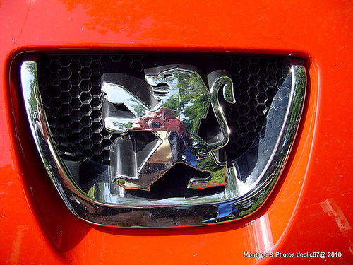 auto-portrait Peugot ! un lion dans votre moteur !!