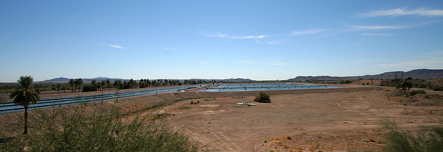 Canal & Desilting Pools Below Imperial Dam (7994)