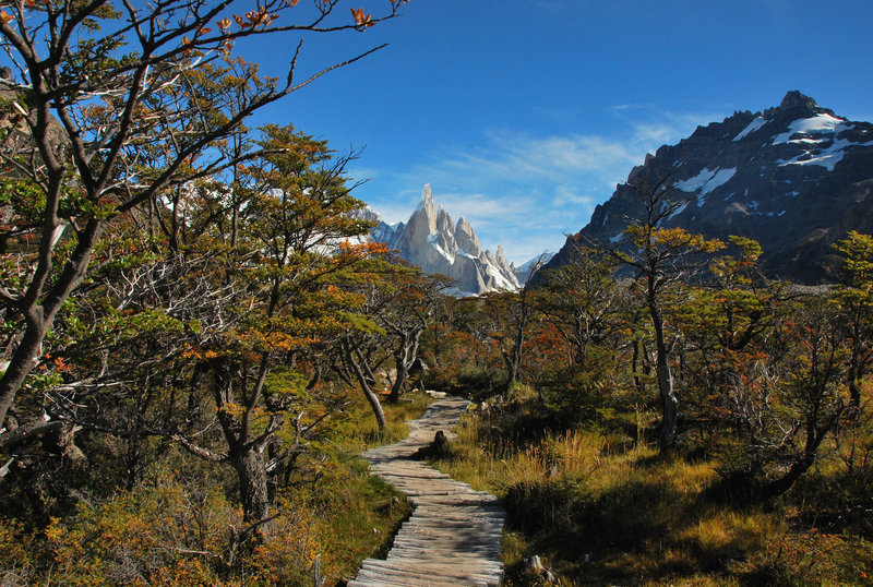 Cerro Torre