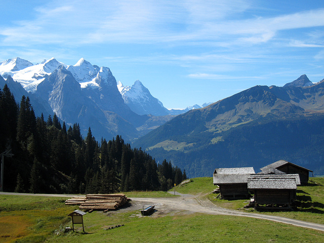 Mägisalp