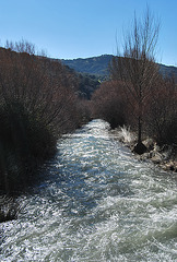 Río Genil 13