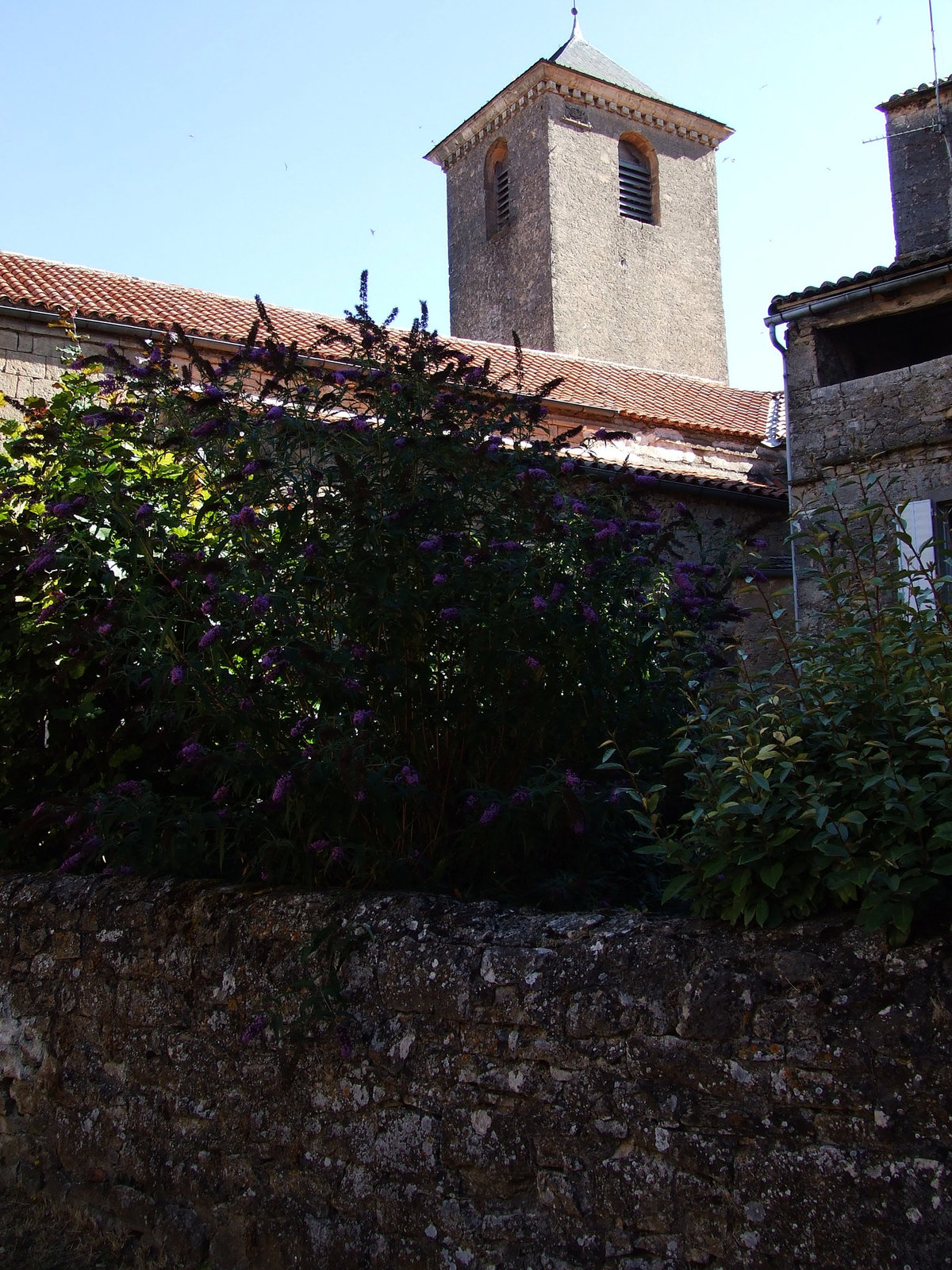 Larzac 084