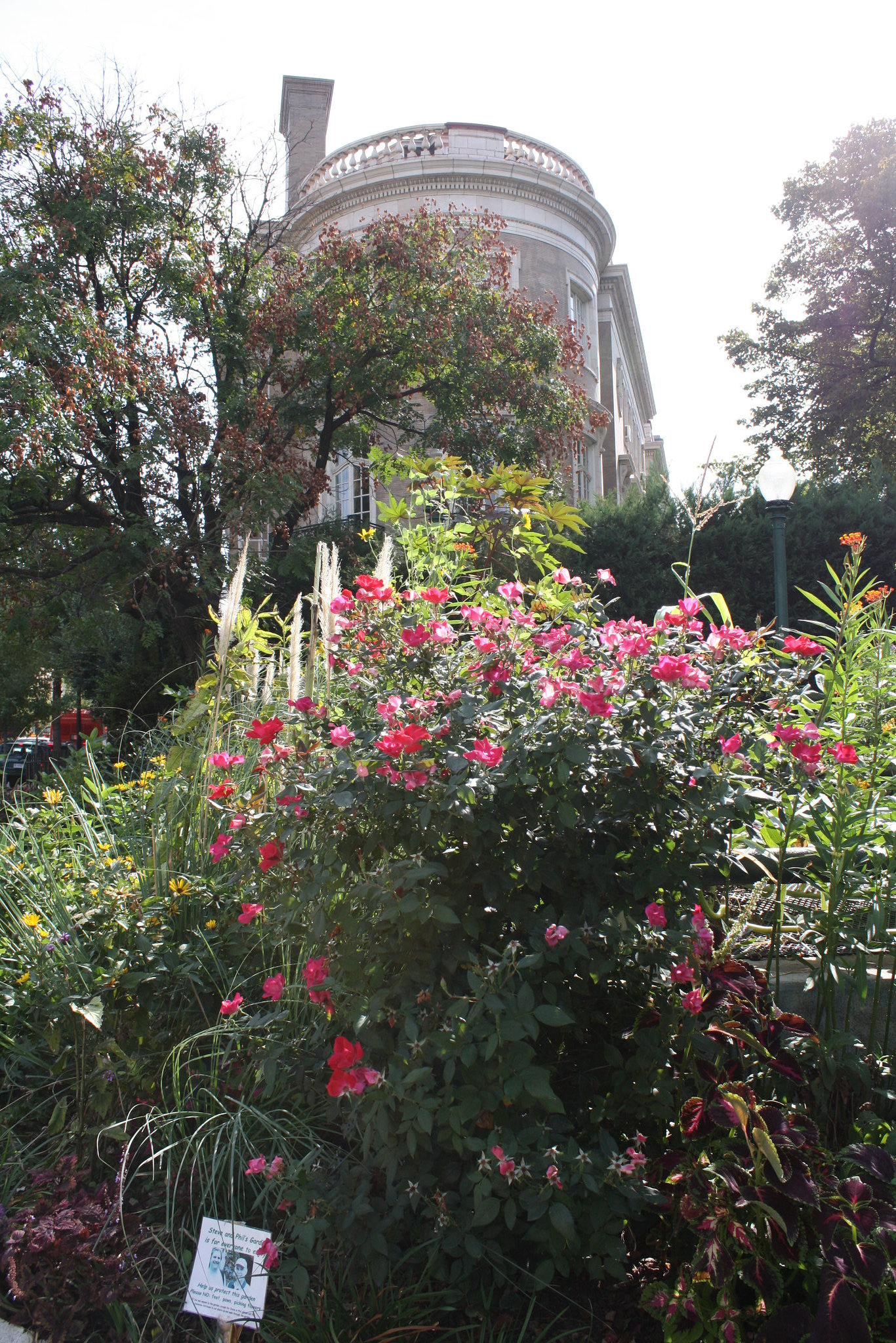 03.StevePhilGarden.DupontCircleEast.WDC.17September2010