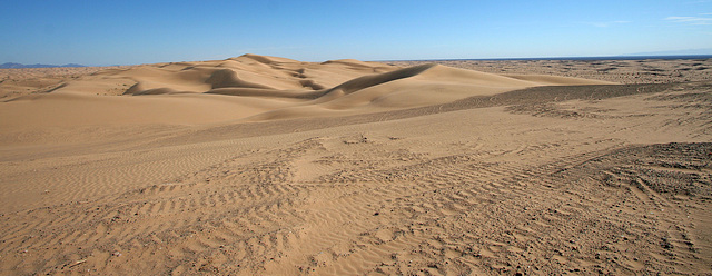 Algodones Dunes Near Glamis (8027)
