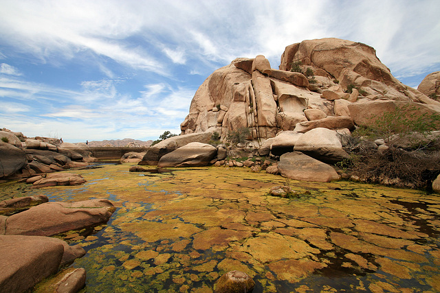 Barker Dam (7480)