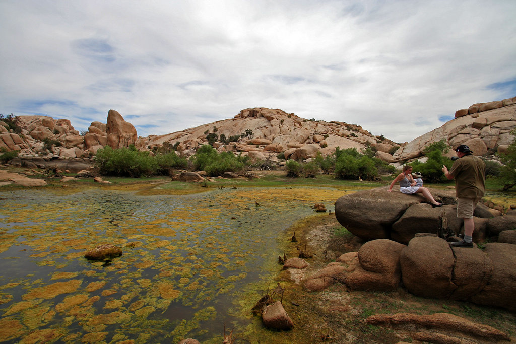 Barker Dam (7481) Barker Dam (7481)