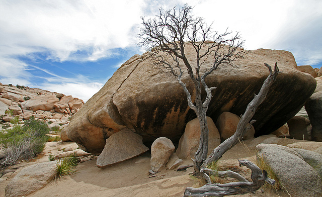 Near Barker Dam (7487)