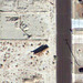 Roof Trusses in Google Satellite View