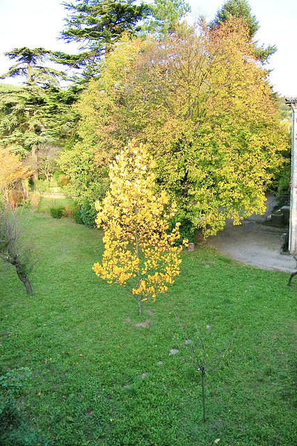 Couleur d'automne