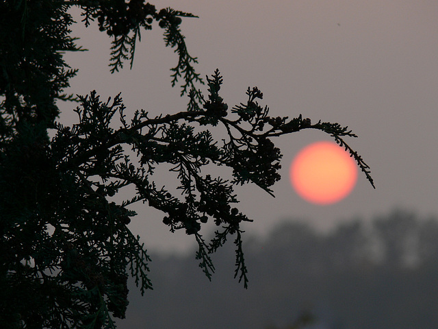 Sonnenuntergang - new sunset