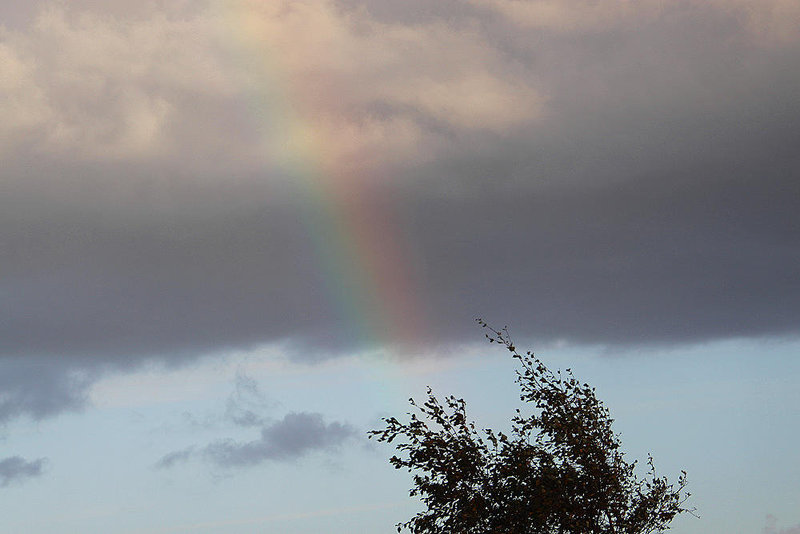 20100918 8118Aw [D~NVP] Zingst, Regenbogen (Bodden)