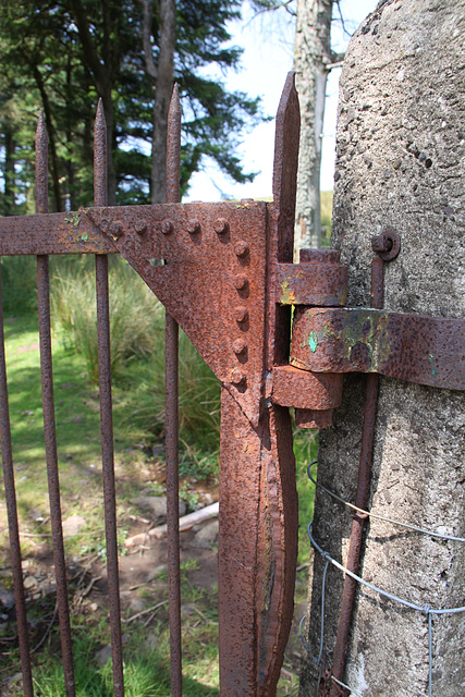 Rusty gate