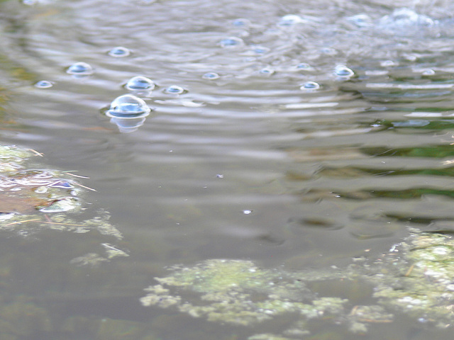 Wasserspiele