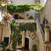 MDINA MALTE