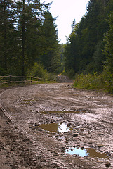 Karpaten. Nach dem Regen