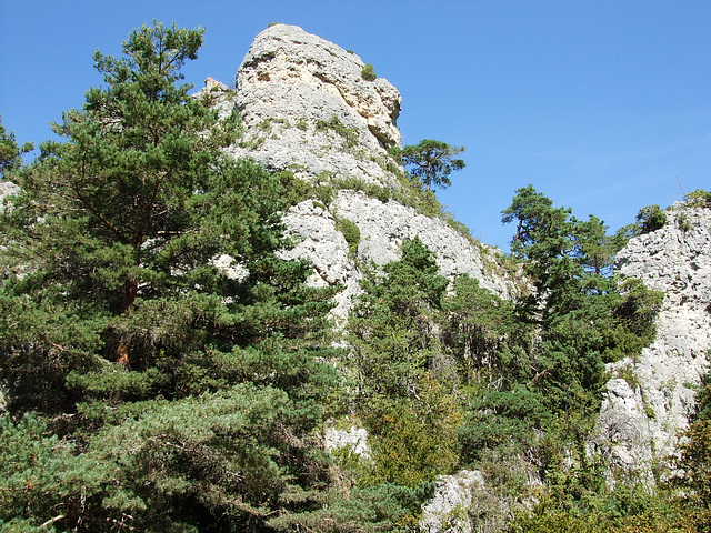 Larzac 132