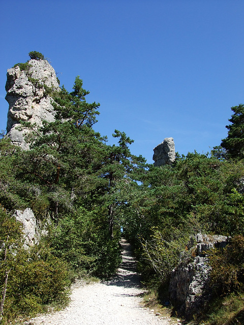 Larzac 136